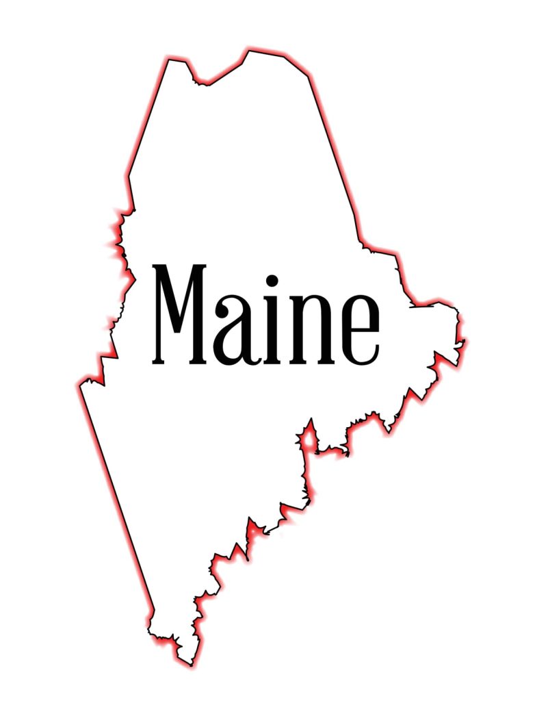 Fix Garbage Disposal in Maine